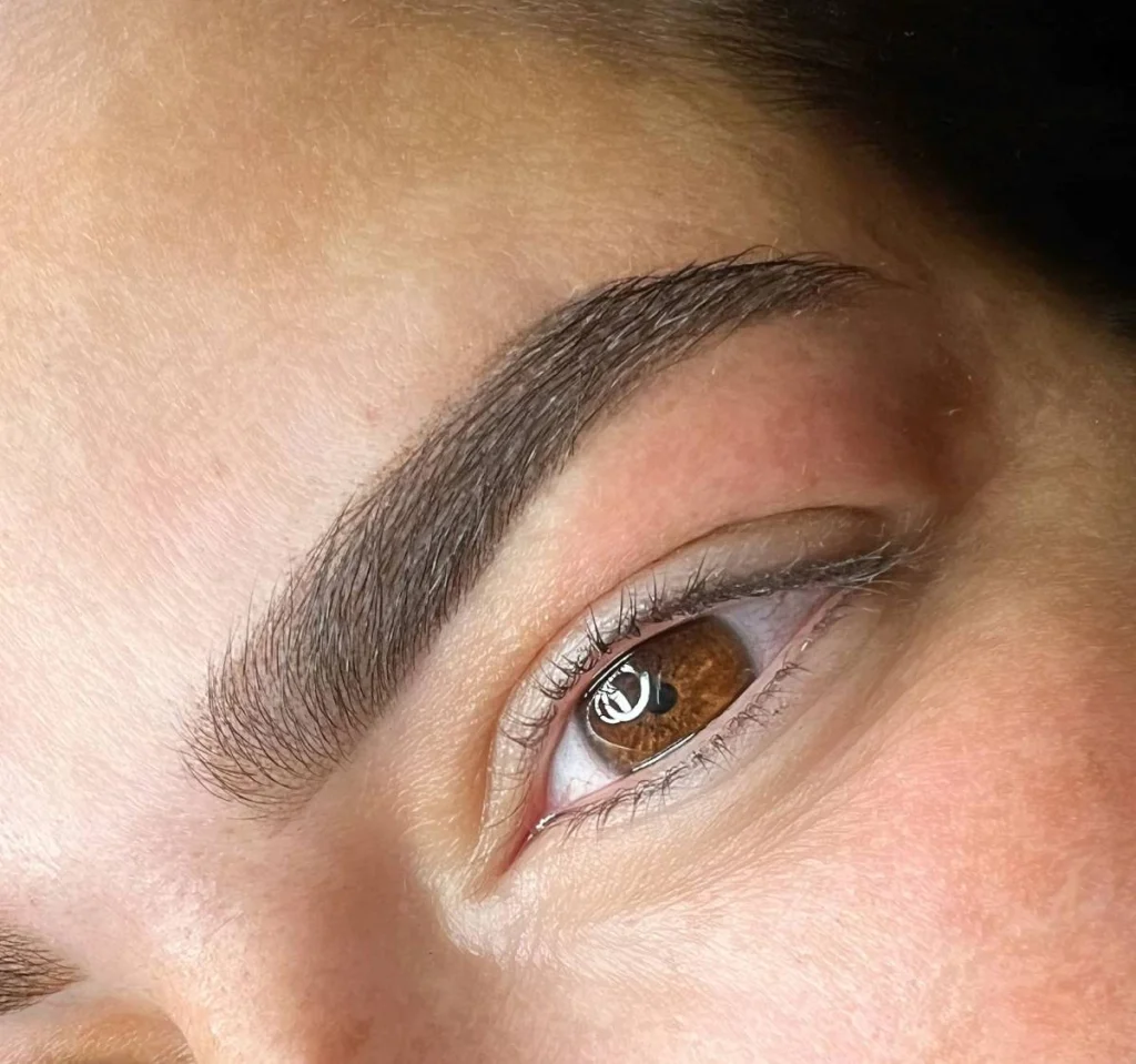 Powderbrows van dichtbij, zacht verloop naar de aanzet